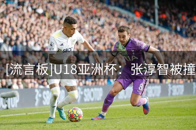 [流言板]U18亚洲杯：张淳智被撞到膝盖后顶到对手头部，被吹违体犯规